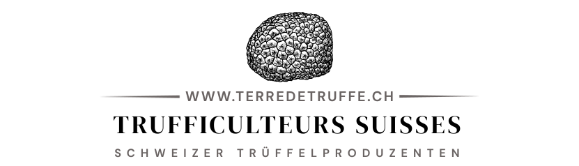 Terredetruffe